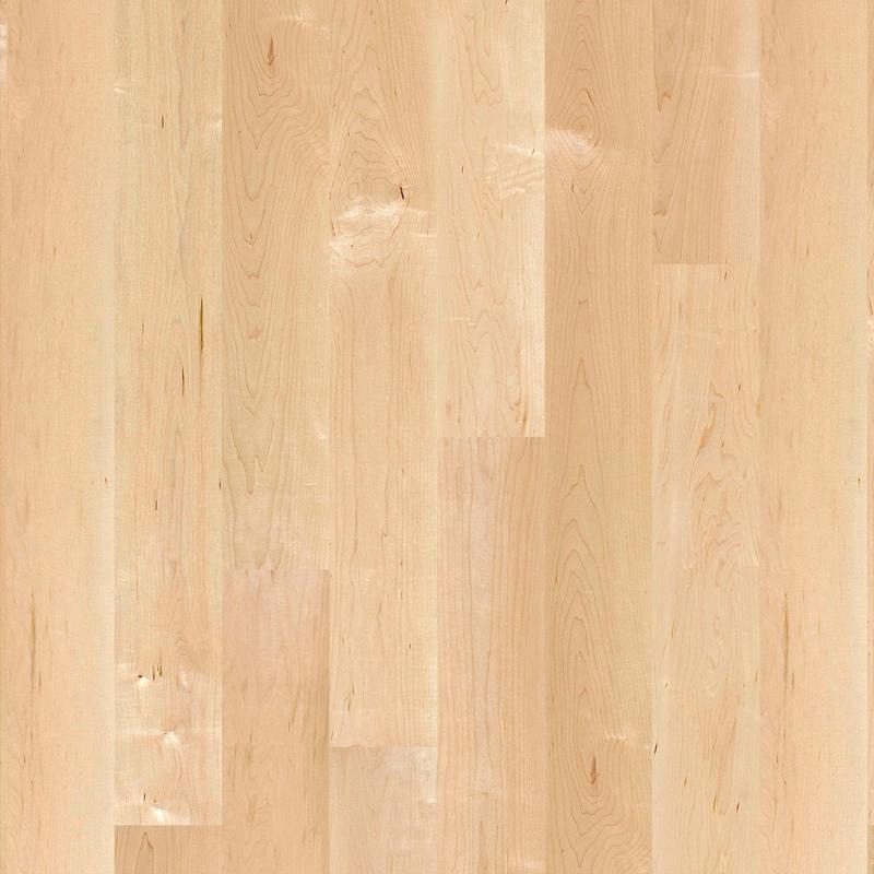 maple can animoso lacquer-plank
