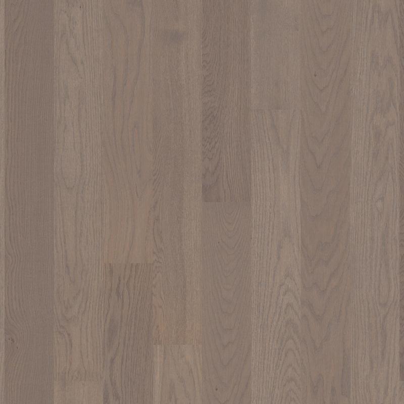 oak Arizona live matt-plank